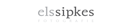 els sipkes fotografie | charleston sc logo